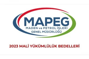 MALİ YÜKÜMLÜLÜK BEDELLERİ