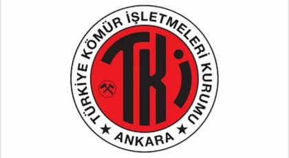 TÜRKİYE KÖMÜR İŞLETMELERİ KURUMU (TKİ)